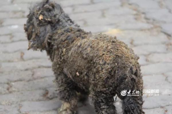 突發(fā)！青島一居民樓發(fā)生爆燃！已造1人死亡，7人受傷！3公里外有震感…